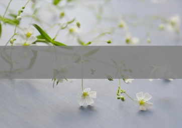 AnyDesk 企业版设备分组管理教程|anydesk安装后没有分配id